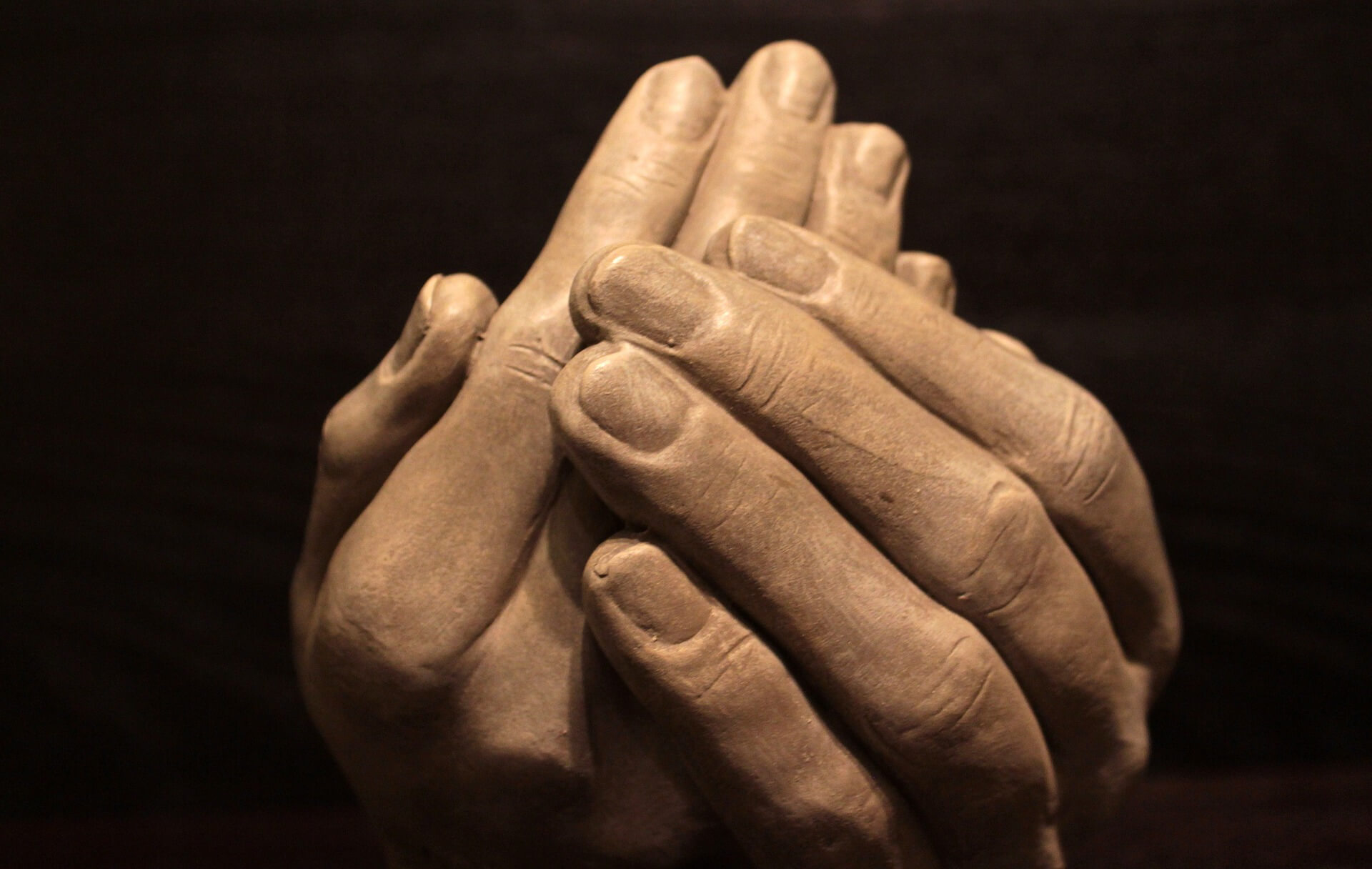 Pay It Forward initiative_Dana Tours